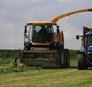 Improving Milk from Forage cont. Mark worked with the business and identified a grass mixture ideally suited to intensive silage production.