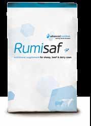 Rumisaf Helping maintain a healthy rumen, critical in delivering milk yield and overall cow performance. Rumisaf is a live yeast product exclusive to Advanced Nutrition.