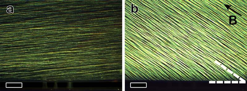 Figure S3. Polarized optical microscope images of liquid crystals near the edge of capillary tube in the (a) absence and (b) presence of a magnetic field. Scale bar: 100 μm. Figure S4.