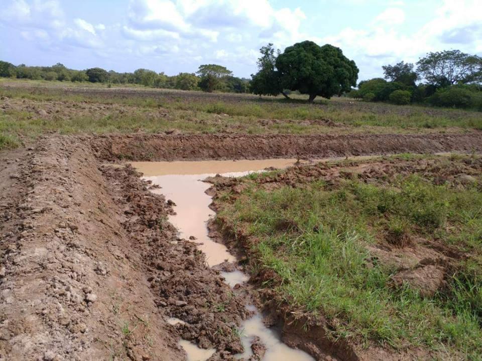 is an irrigation schemes with partial control of water ; a single crop
