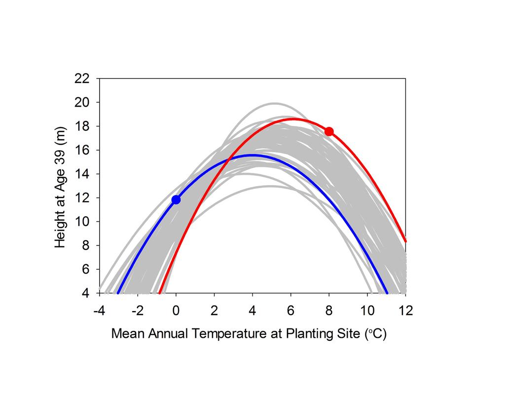 Results We calculated temperature dependent growth curves for black spruce and jack pine trees from all the different height and climate measurements (Fig. 3).