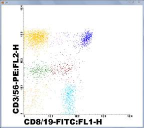 single vial: CD8 + CD19-FITC CD3 + CD56-PE CD4-PECy5 T-CD8+