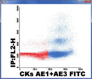 Secondary Antibody FITC conjugated. DNA Labeling Solution ready to use.