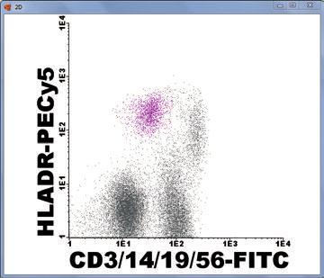 antibody combination and a pattern of FSC / SSC intermediate between lymphocytes and monocytes.