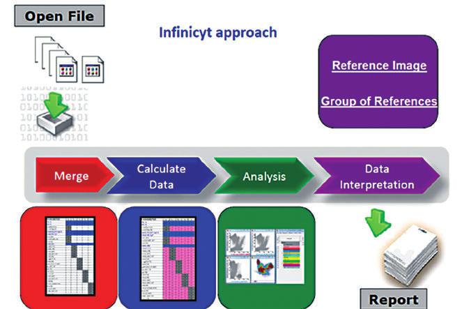 New software tools for data analysis and data interpretation.