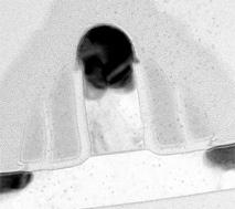 IOFF [A/µm] 1e-7 +85% 1e-8 30 40 50 60 70 80 90 100 110 IDSAT [µa/µm] Figure 9: TEM cross sectional image of an NMOS short channel transistor (L g = 40 nm) fabricated on SSOI.
