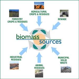 1.2. The Advantages of Biomass as an Energy Source The problems previously presented have motivated many researchers to exert considerable effort and dedication to finding lasting solutions to energy