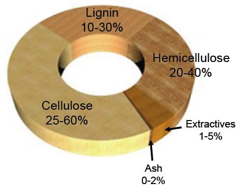 Figure 1-8. Varying amounts of the constituents of lignocellulosic biomass For the purpose of this study, it is important to have some rudimentary insight into the structure of the plant cell wall.