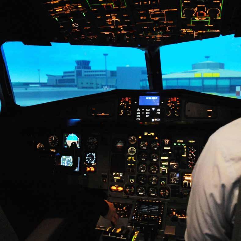 A flight simulator for