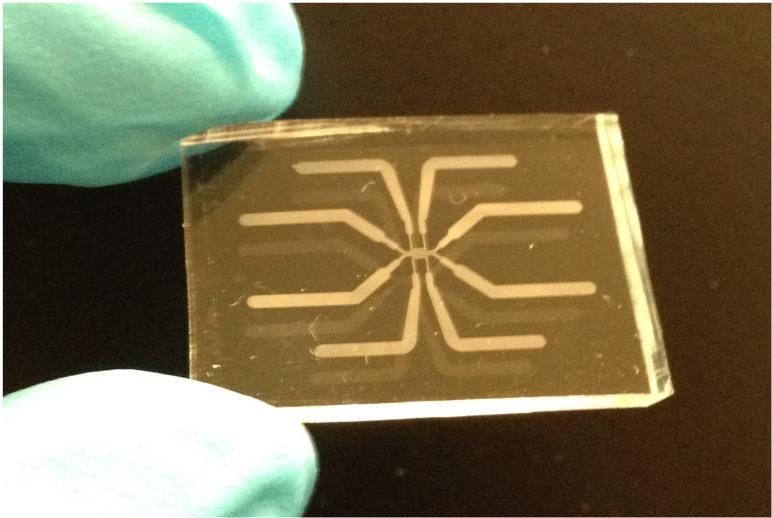 Microfluidic