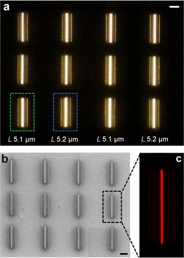 Plasmonic interferometers for array-based sensing Scale bar: 10 µm Packing density: 4 10 4 sensors per cm 2 Slit-groove