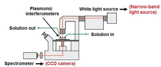 Sensor resolution = 5 10-5 RIU (close to commercial SPR imager: 1 10-5 RIU) Sensor footprint: 10 30 μm 2, (100X smaller than