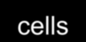 The harmless R cells had been