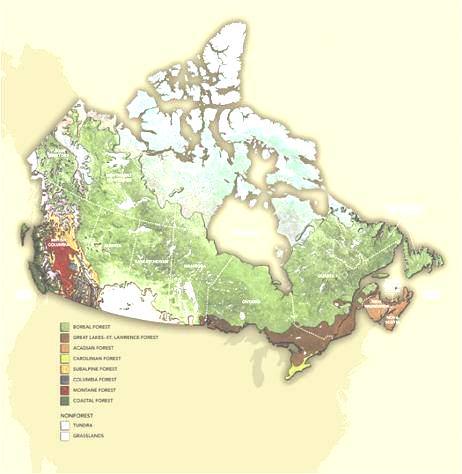 Quick facts on Canada s forests 40% of Canada s surface area 400M hectares 273 700 jobs 1.