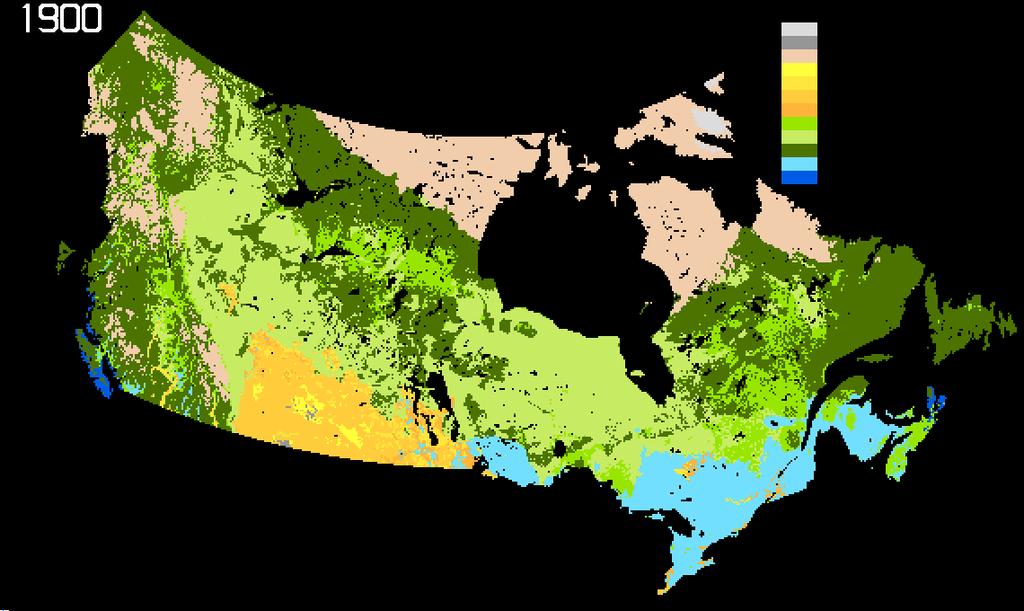 IBIS: Simulated changes in major vegetation types Polar desert/rock/ice Desert Tundra Open shrub-land Dense shrub-land