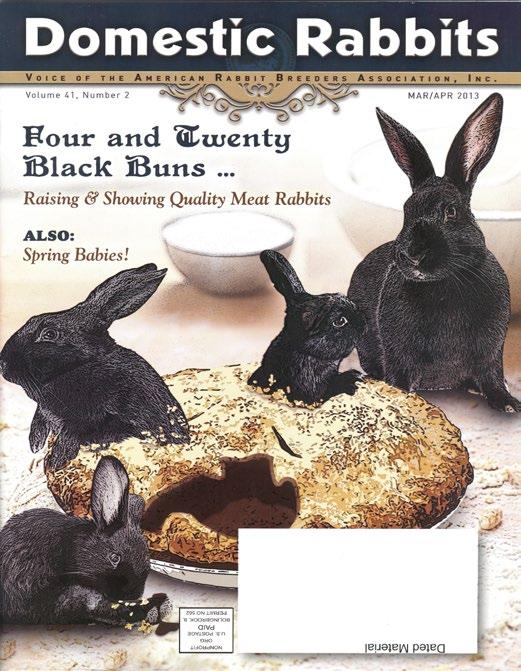 As part of their membership package, all ARBA members receive the Domestic Rabbits magazine, with the exception of foreign