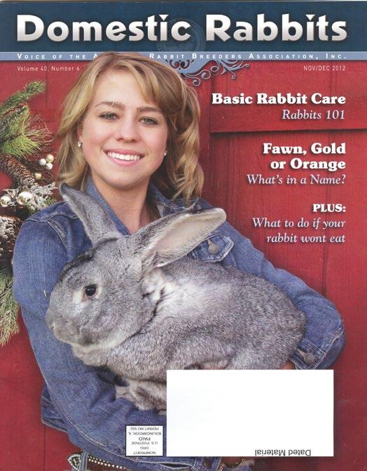The Domestic Rabbits magazine provides our members with pertinent information on rabbits and cavies, including all aspects