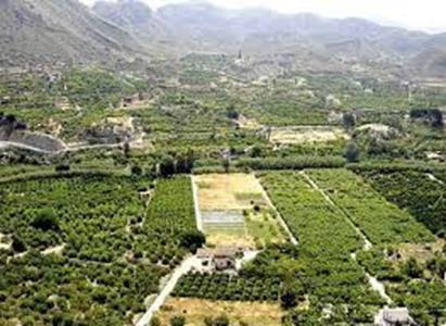 ) established the first orchards with hydraulic infrastructures Long tradition in