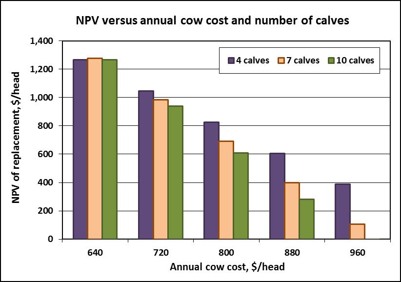 Cow-Calf Expansion Discussion What Can I pay