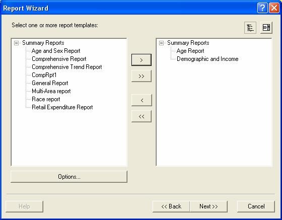 information. The wizard allows you to select variables and organize them on a new report template.