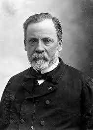 spoiled liquids LOUIS PASTEUR Discovered microscopic organisms and