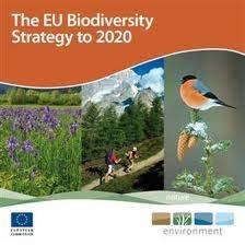 Outline of the presentation EU Biodiversity Strategy to 2020 Long term vision (2050) Headline target (2020) How to integrate biodiversity