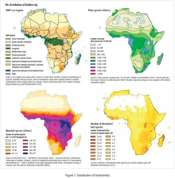 Example: Distribution of Biodiversity in Africa: Biodiversity