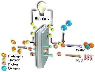 The Link Between Natural Gas and Fuel Cells See the attached article from The Oil and Gas Investor When a hydrocarbon fuel is introduced into the system, the catalyst surface of the membrane splits