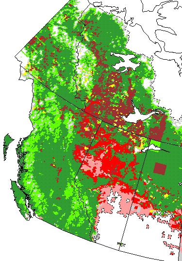 23 23 Linkages Among Data Sources Linkages Among Data Sources For forests in Canada, For forests in Canada, linkages between spatial