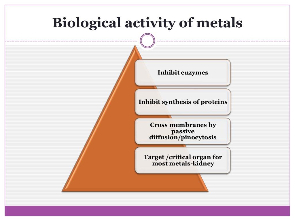 biological activity of toxic metals Heavy metals inhibit enzymes (by binding) and protein synthesis They cross membranes by