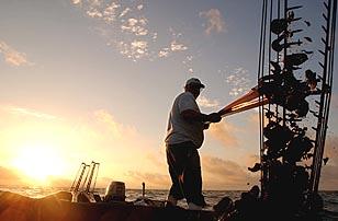 Our Coastal Economy : Commercial Fishing Alabama Shrimp Harvest