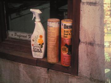 Never place pesticide containers in windows. 48.