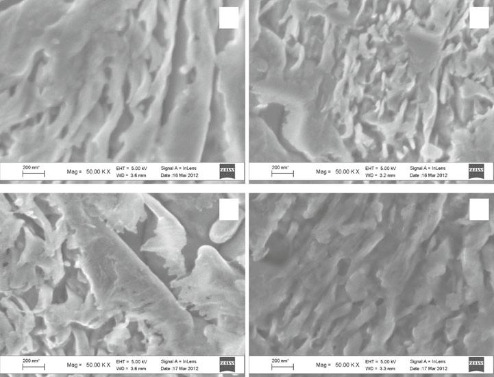 Study of visually different areas in the Chinga iron meteorite fragment a b c d Fig. 2 Scanning electron microscopy images of Chinga metal areas 1 (a), 2 (b), 3 (c)and(d) Fig.