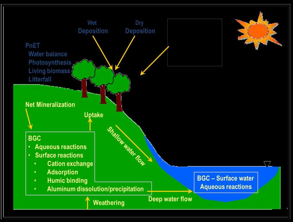 Methods For this project, we used the dynamic model PnET-BGC to evaluate the response of forest watersheds to potential future changes in