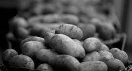 Potato products Use process control Products fries, potato chips, potato-based finished products Parameters