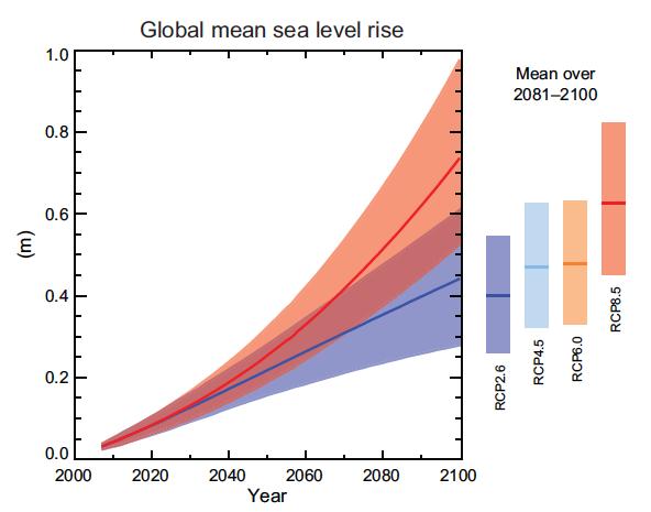 Sea level in the FAR (1990) and AR5 (2013) Under the business as usual scenario, the predicted rise is about 65cm by the end of the next century. There will be significant regional variations.