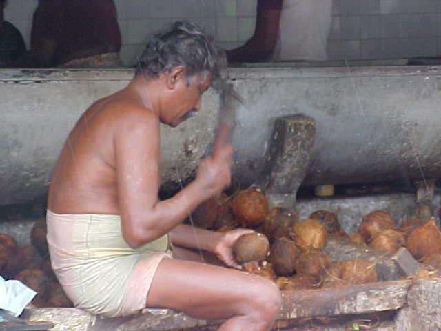 Traditional Sri