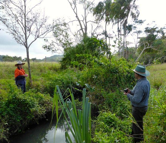 PROGRAM UPDATES Wetlands Update Reef Catchments is currently assessing the condition of some of the regions significant wetlands to benchmark their current condition and assess any changes over time.