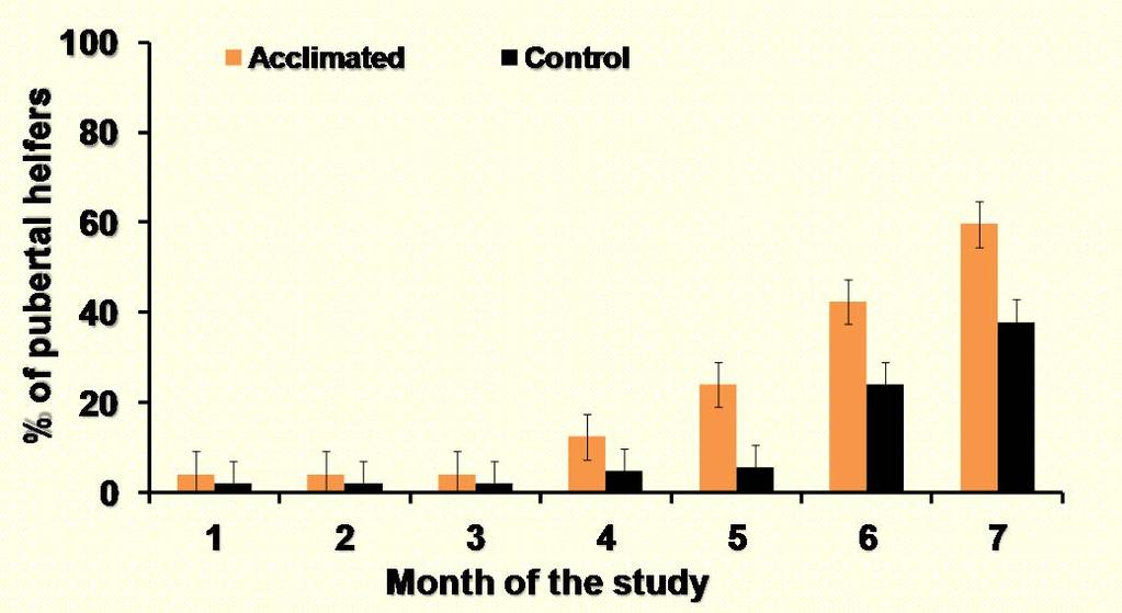 Acclimation of Heifers - OSU After the acclimation process Plasma cortisol, ng/ml 45.0 40.0 35.0 30.0 25.0 20.0 15.0 10.0 5.0 0.0 Cooke et al.