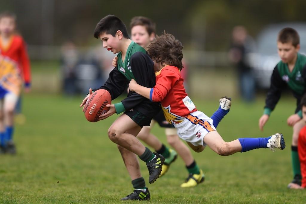 2017 Explore how to increase the programs and competitions needed to grow the EDFL to satisfy the potential demand over the next 15 years Attract and develop new clubs to grow the league Explore the