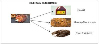 Crude Palm Oil Processing (Case Study) CPO One of the world s leading sources of vegetable oils Food applications: soup-mix,