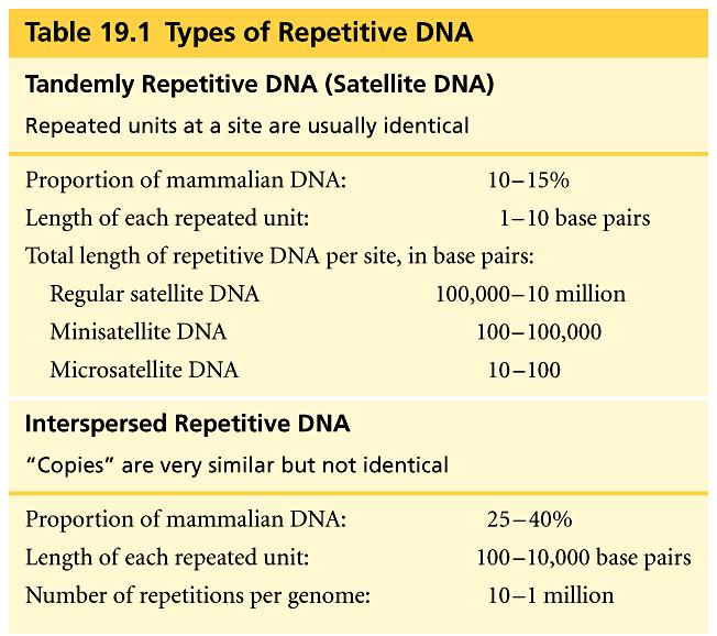 Repetitive DNA Repetitive DNA & other