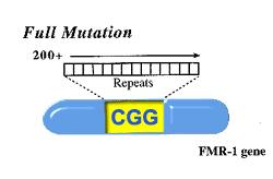 affected the individual will be mutation causes