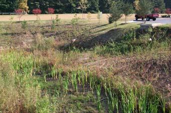 4.3.4.1 General Description Stormwater wetlands (also referred to as constructed wetlands) are constructed shallow marsh systems that are designed to both treat urban stormwater and control runoff