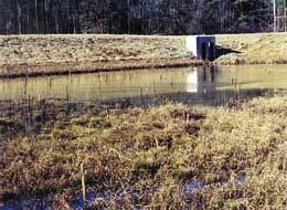 Wetlands can be utilized effectively for pollutant removal and also offer aesthetic value and wildlife habitat.