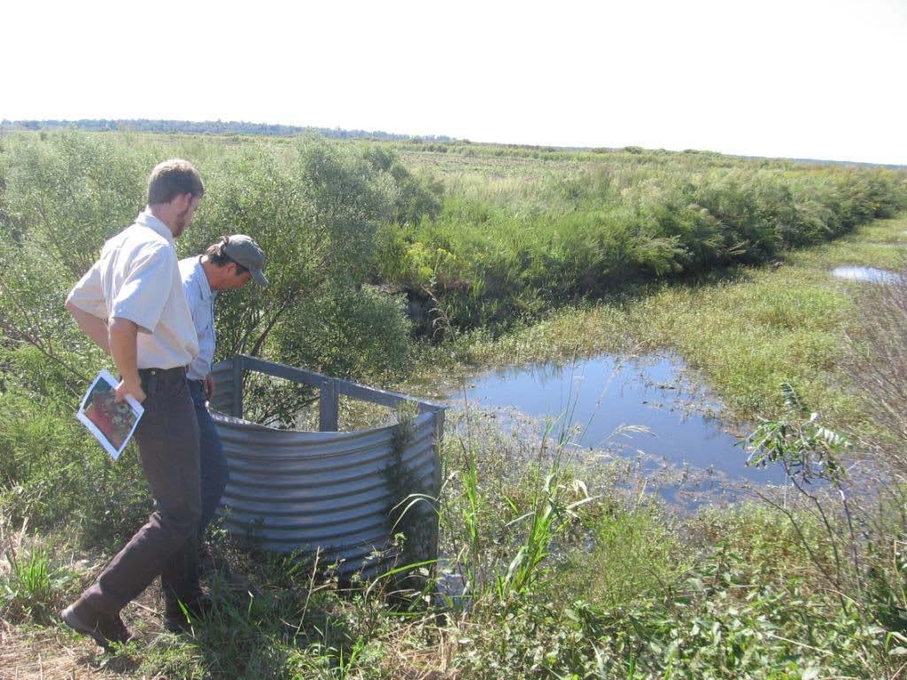 Water Management Objectives Reduce pumped drainage water to coastal waters Manage water in
