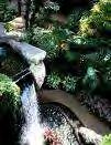 Water Features Ornamental Water features Requirements: If ornamental water features are installed, they must recirculate water and serve a beneficial use Inspection: Water features include fountains,
