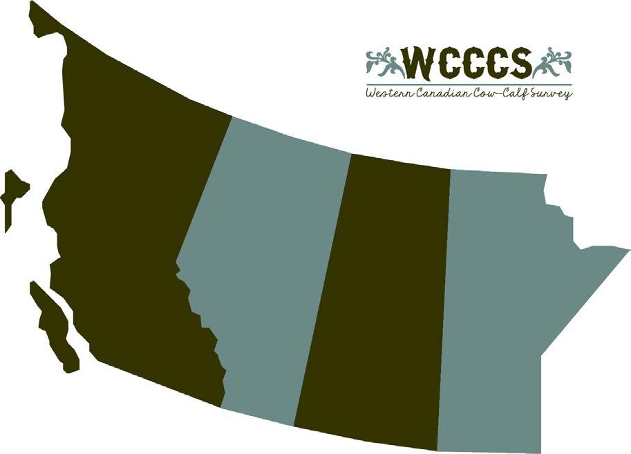 WCCCS Survey Findings 411 responses received Avg age of respondents: 50 Avg years raising