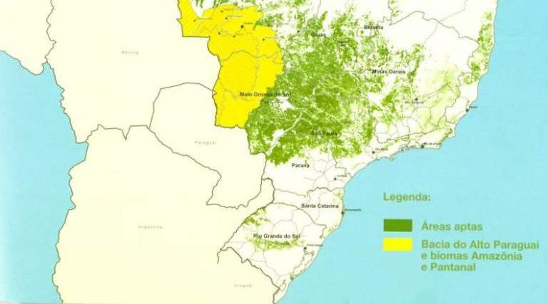 Excludes the clearing of any type of native vegetation for sugarcane expansion, e.g. Cerrados, Campos.