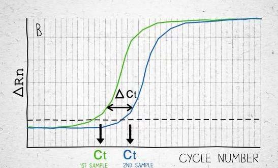 Imagining Real-Time PCR(Ct value) - The value that represents the cycle number where the amplification curve crosses an arbitrary threshold.